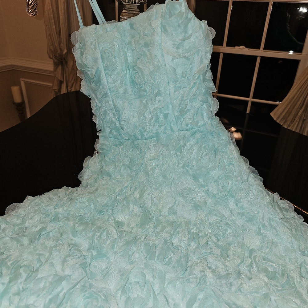 GORGEOUS Flower Applique, MINT GREEN DRESS, size XS...New with Tags